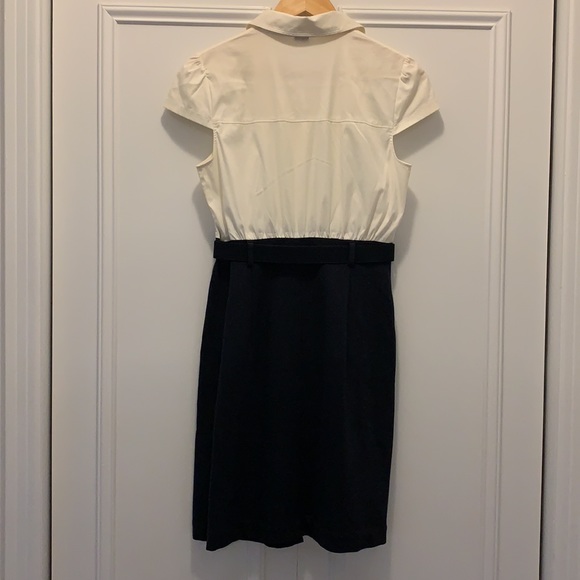Theory dress with belt - Picture 6 of 6